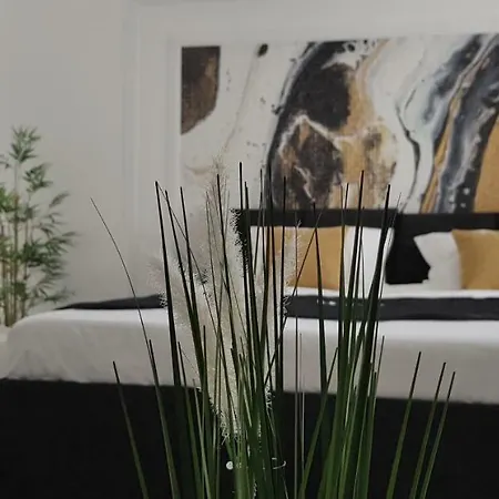 West טימישוארה