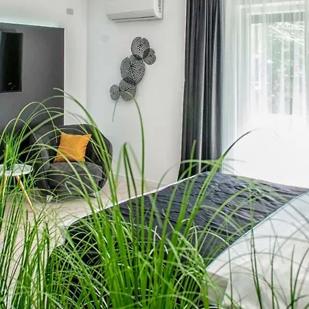 West טימישוארה